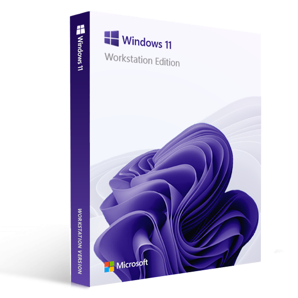 Windows 11 Workstation
