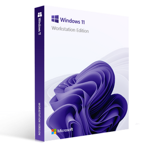 Windows 11 Workstation
